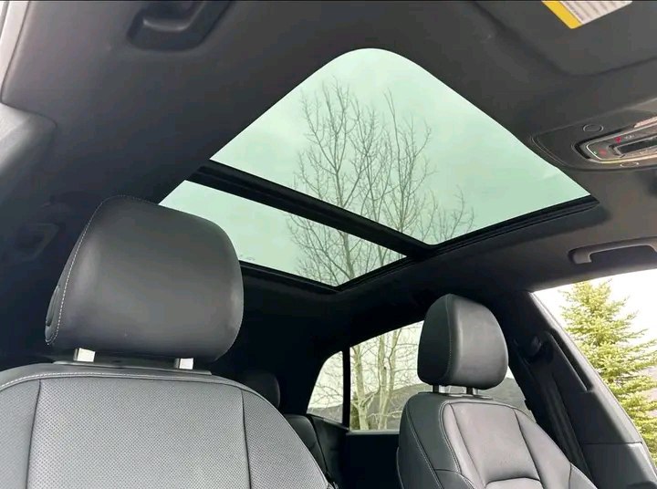 2019 Audi Q8