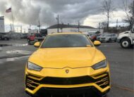 Urus