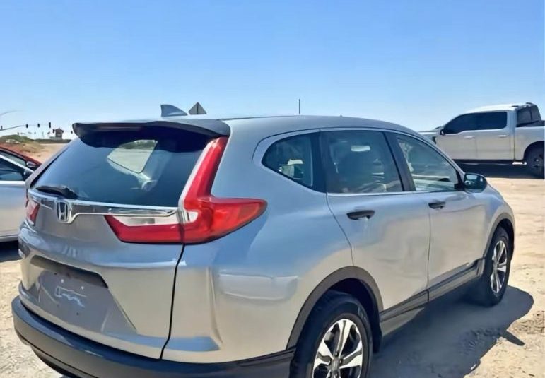 2019 Honda CR-V • Suv